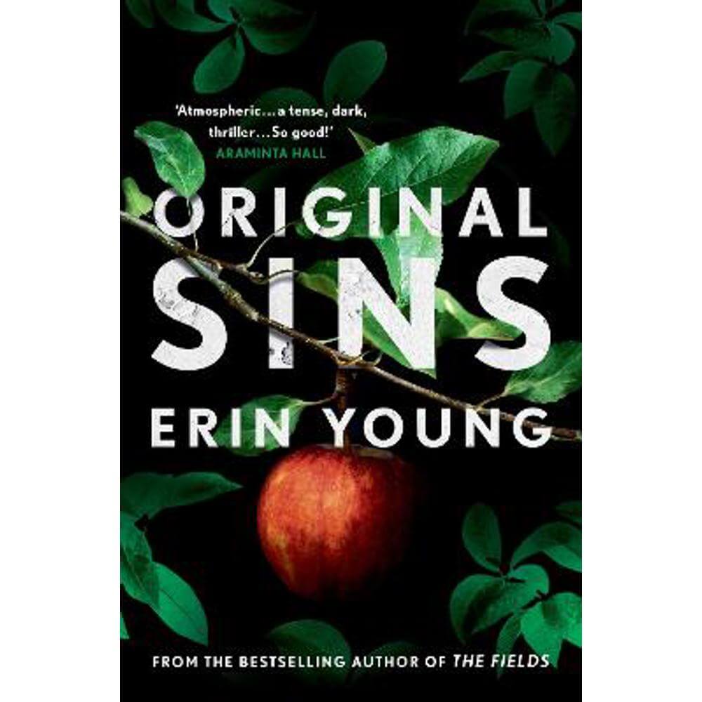 Original Sins: Riley Fisher Book 2 (Hardback) - Erin Young